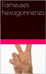 Baixar Fameuses hexagonneries (French Edition) pdf, epub, eBook