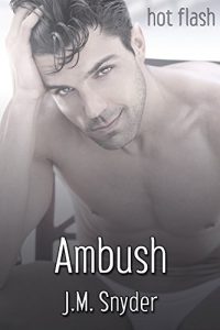 Baixar Ambush (English Edition) pdf, epub, eBook