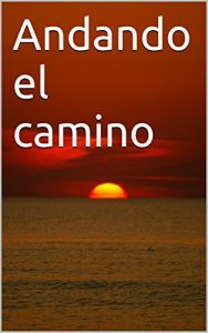 Baixar Andando el camino (Spanish Edition) pdf, epub, eBook