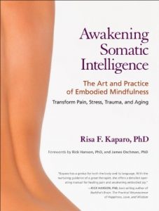 Baixar Awakening Somatic Intelligence: The Art and Practice of Embodied Mindfulness pdf, epub, eBook