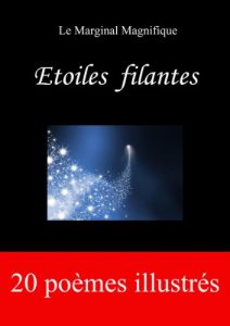 Baixar Etoiles filantes (French Edition) pdf, epub, eBook