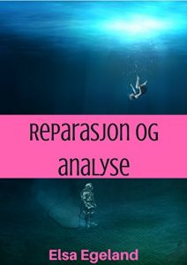 Baixar Reparasjon og analyse (Norwegian Edition) pdf, epub, eBook