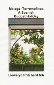 Baixar Malaga -Torremolinos A Spanish Budget Holiday The Illustrated Diaries of Llewelyn Pritchard MA (Japanese Edition) pdf, epub, eBook