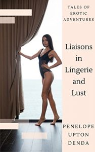 Baixar Liaisons in Lingerie and Lust: Tales of Erotic Adventures (English Edition) pdf, epub, eBook
