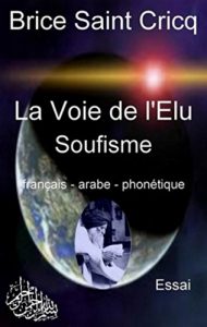 Baixar La Voie de l’Elu: Soufisme –      رِسَالَة مكرّس ل التَّصَوف (French Edition) pdf, epub, eBook