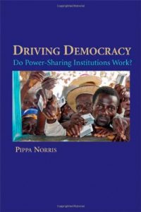 Baixar Driving Democracy: Do Power-Sharing Institutions Work? pdf, epub, eBook