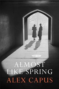 Baixar Almost Like Spring pdf, epub, eBook