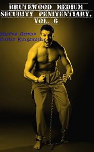 Baixar Brutewood Medium Security Penitentiary, Vol. 6: One Horny Inmate, A Crowded Mexican Cell and An Eventful Prison Shower (The Best of Brutewood) (English Edition) pdf, epub, eBook