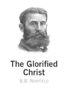 Baixar The Glorified Christ (English Edition) pdf, epub, eBook