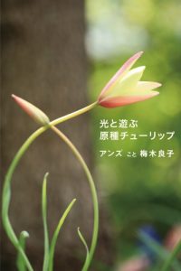 Baixar hikaritoasobugensyutulip (Japanese Edition) pdf, epub, eBook