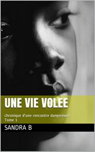 Baixar UNE VIE VOLEE: chronique d’une rencontre dangereuse Tome 1 (French Edition) pdf, epub, eBook
