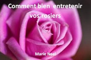 Baixar Comment bien entretenir vos rosiers (French Edition) pdf, epub, eBook