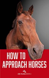 Baixar How to Approach Horses (eQn Guides Book 2) (English Edition) pdf, epub, eBook
