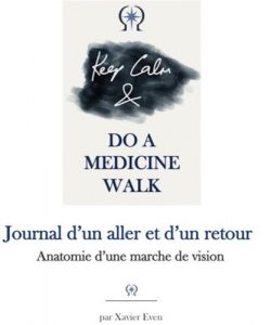 Baixar Journal d’un aller et d’un retour – Anatomie d’une marche de vision (French Edition) pdf, epub, eBook