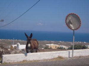 Baixar KUCHI KUCHI KOMPUTAZIONAL (Spanish Edition) pdf, epub, eBook