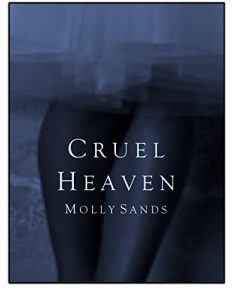Baixar Cruel Heaven (English Edition) pdf, epub, eBook