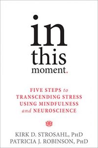 Baixar In This Moment: Five Steps to Transcending Stress Using Mindfulness and Neuroscience pdf, epub, eBook