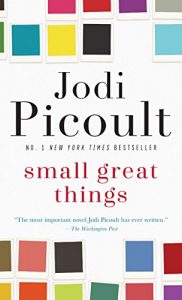 Baixar Small Great Things: A Novel pdf, epub, eBook
