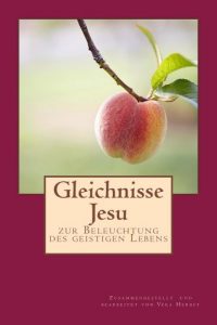 Baixar Gleichnisse Jesu: zur Beleuchtung des geistigen Lebens (German Edition) pdf, epub, eBook