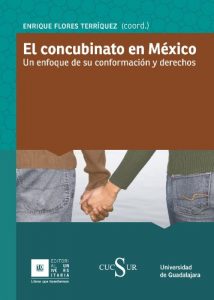 Baixar El concubinato en México. Un enfoque de conformación y derechos. (Spanish Edition) pdf, epub, eBook