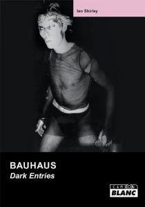 Baixar BAUHAUS Dark Entries pdf, epub, eBook