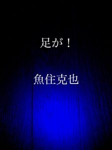 Baixar ashiga (Japanese Edition) pdf, epub, eBook