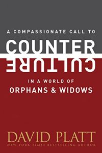 Baixar A Compassionate Call to Counter Culture in a World of Orphans and Widows (Counter Culture Booklets) (English Edition) pdf, epub, eBook