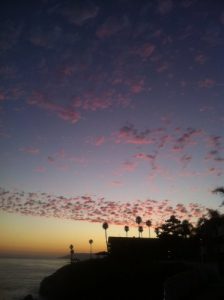 Baixar Hablemos el Criollo Haitiano – Let us Speak Haitian Creole – Ann Pale Kreyol – Haitian Creole Guide for ESOL Teachers, Students, and Parents (Learn Haitian … AprenderKreyolHaitiano) (Spanish Edition) pdf, epub, eBook