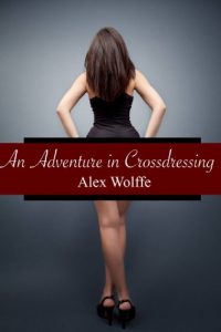 Baixar An Adventure in Crossdressing (English Edition) pdf, epub, eBook