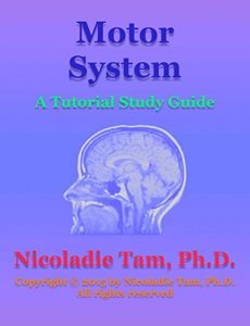 Baixar Motor System: A Tutorial Study Guide (English Edition) pdf, epub, eBook