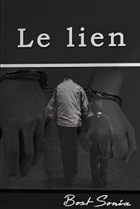 Baixar Le lien (French Edition) pdf, epub, eBook