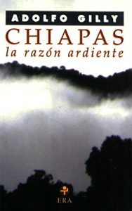 Baixar Chiapas. la razon ardiente (Problemas De Mexico) pdf, epub, eBook