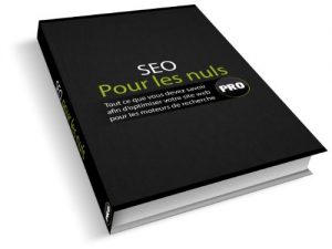 Baixar SEO Pour les nuls (French Edition) pdf, epub, eBook