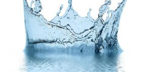 Baixar il cucinare bene consigli utili (Pesce) (il cucinare bene  consigli utili (Pesce) Vol. 1) (Italian Edition) pdf, epub, eBook