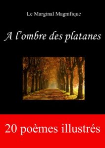 Baixar A l’ombre des platanes (French Edition) pdf, epub, eBook