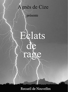 Baixar Eclats de rage: Recueil de nouvelles (French Edition) pdf, epub, eBook