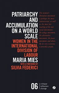 Baixar Patriarchy and Accumulation on a World Scale: Women in the International Division of Labour (Critique Influence Change) pdf, epub, eBook