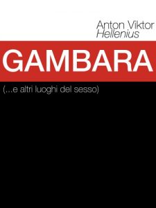 Baixar Gambara (…e altri luoghi del sesso) (Italian Edition) pdf, epub, eBook