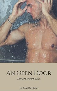 Baixar An Open Door (English Edition) pdf, epub, eBook