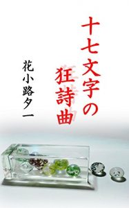 Baixar jyuunanamojinokyoushikyoku (Japanese Edition) pdf, epub, eBook