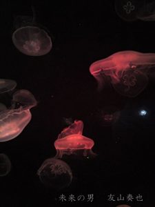 Baixar mirai no otoko (Japanese Edition) pdf, epub, eBook