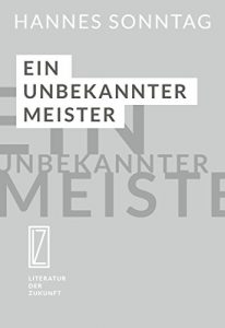 Baixar Ein unbekannter Meister: Von einer seltenen Begabung (German Edition) pdf, epub, eBook