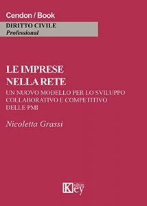 Baixar Le imprese nella rete: Un nuovo modello per lo sviluppo collaborativo e competitivo delle PMI (Italian Edition) pdf, epub, eBook