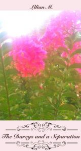 Baixar Pemberley Interludes: The Darcys and a Separation (English Edition) pdf, epub, eBook