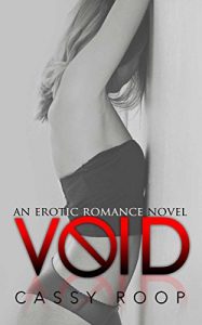 Baixar VOID An Erotic Romance Novel (English Edition) pdf, epub, eBook