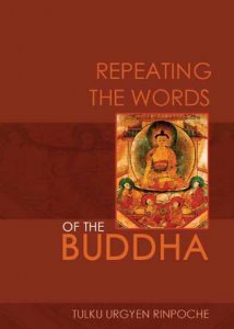 Baixar Repeating the Words of the Buddha pdf, epub, eBook