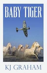 Baixar Baby Tiger (English Edition) pdf, epub, eBook