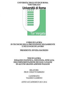 Baixar Indagine statistica, Influenza, Efficacia dell’implementazione dei SGSL e analisi di alcune grandi aziende italiane pdf, epub, eBook