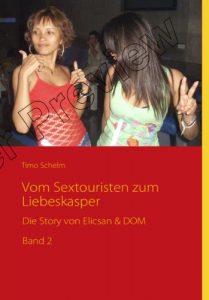 Baixar Vom Sextouristen zum Liebeskasper… (German Edition) pdf, epub, eBook