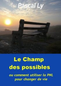 Baixar Le champ des possibles (French Edition) pdf, epub, eBook